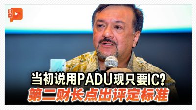 BUDI95审核为何没用PADU?第二财长:有更简单验证法