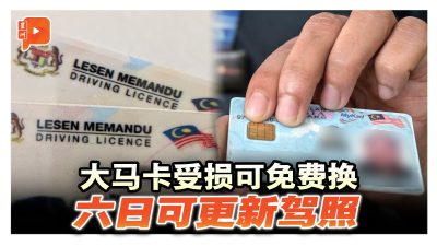 大马卡受损可免费换 六日可更新驾照