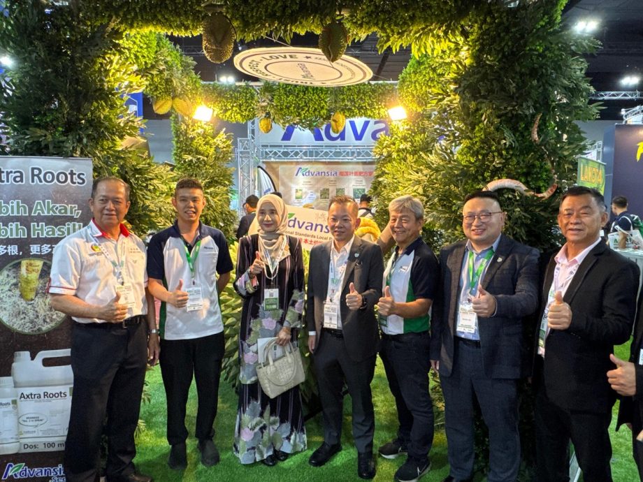 ADVANSIA展（全国新闻版文）