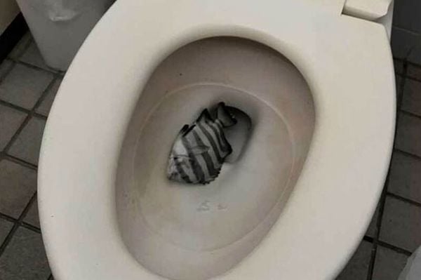 ​公厕马桶惊见“海鱼被放生”！钓客痛骂：谁会把生命丢这里？