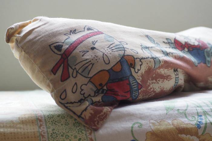 “臭臭”抱枕不洗恐成细菌温床 儿科医生教你5招安全断舍离