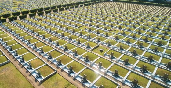 【守护义山/03】从义山到永续墓园,从土葬到生态葬,殡葬文化走向绿色新里程