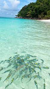 【马来西亚·彭亨】与海为邻,无尽回忆──刁曼岛浪漫之旅