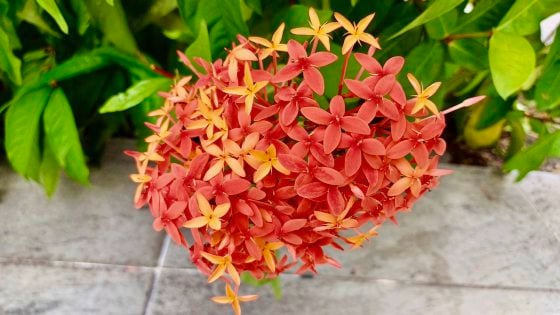 【马来西亚】吉隆坡：走出地铁站，惊喜精彩无处不相逢！