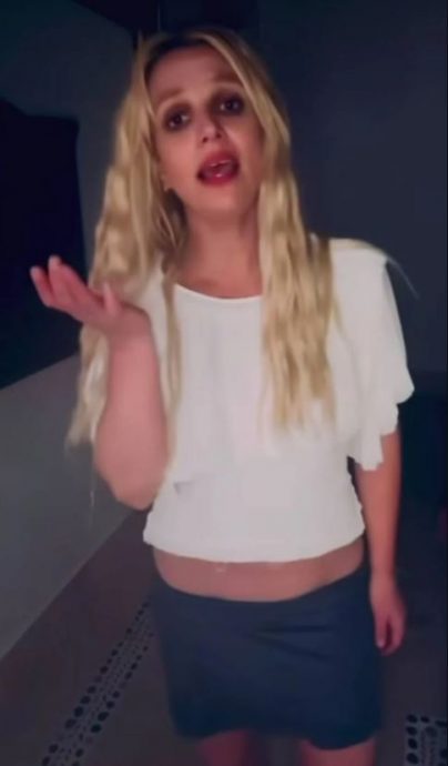 不爽满屋狗屎被大肆报道 碧妮PO小贾父子照反击全网傻眼