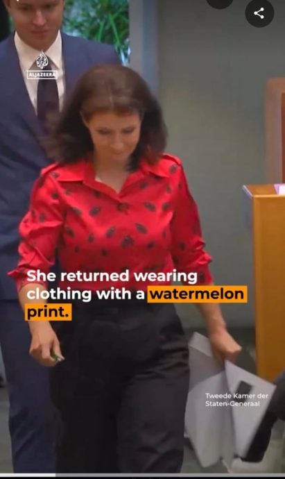 不给我穿国旗装 荷女议员换“这件衣服”挺巴