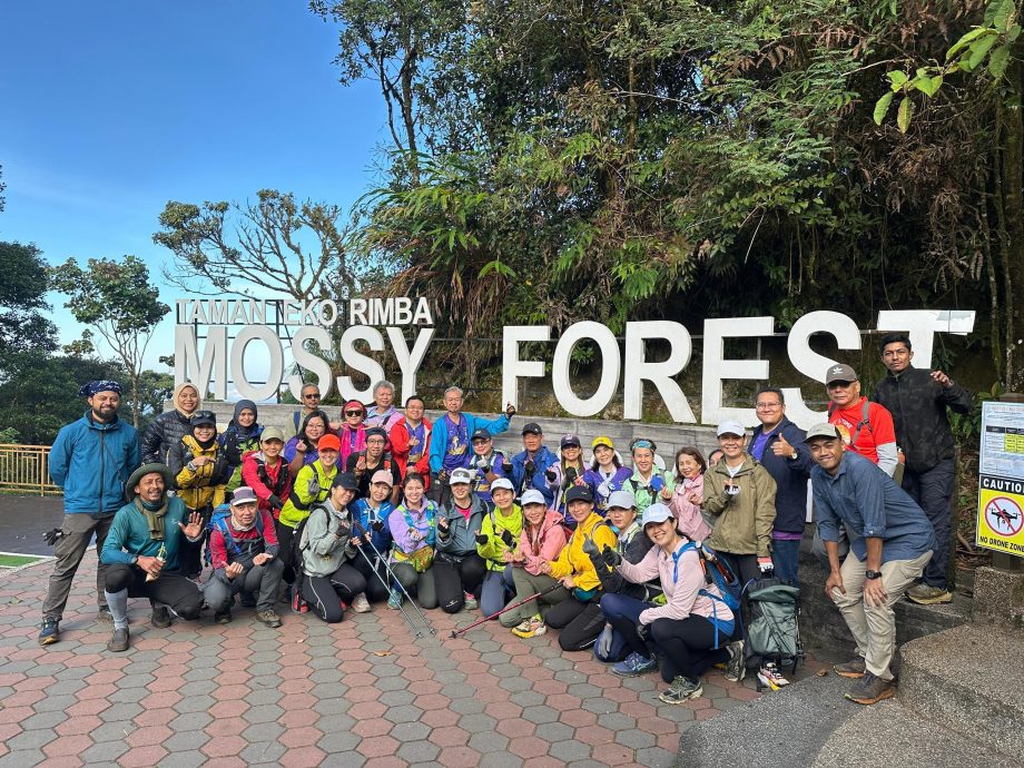 东海岸//共享稿:乐活频道-登山疗愈身心