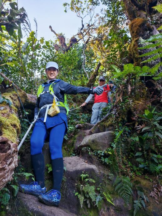 东海岸//共享稿:乐活频道-登山疗愈身心