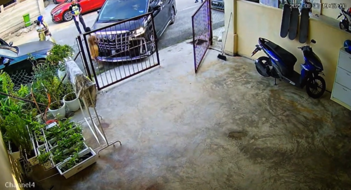 东（已签发）：女商人驾已故丈夫豪车陆路交通局遭充公