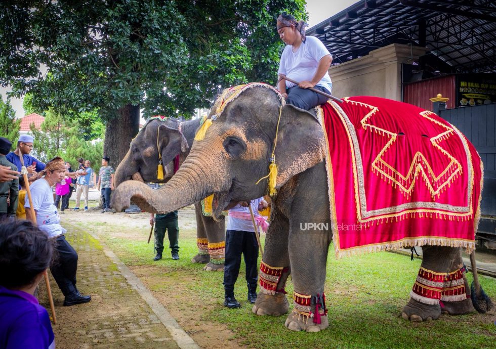 东（已签）:吉兰丹特有的头巾“Setangan Getam Budu”，正式被列为吉兰丹州遗产。