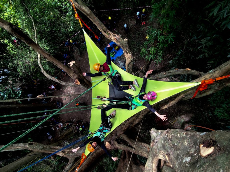 东(已签):当大多数儿童和青少年更热衷于玩网络游戏或沉迷电子设备时,3名年龄介于11至14岁的孩子却选择将沿绳攀树这项极限运动作为爱好。