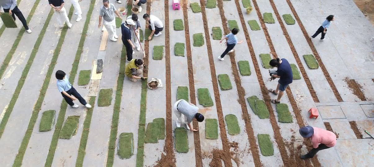 东：佛教慈济吉兰丹支会  在即将竣工的静思堂举办植草日，携手美化静思堂周边环境。