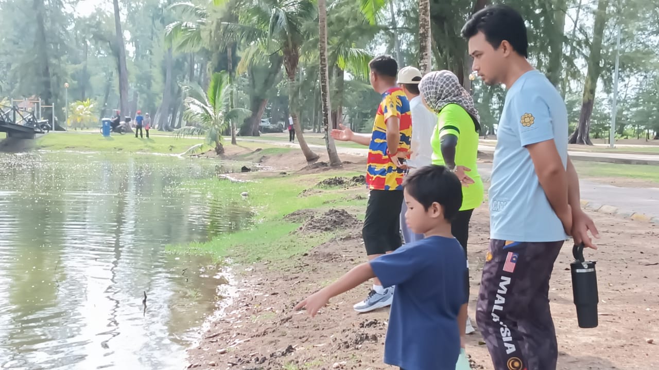 东：已签发：关丹哥罗乐公园惊现大批鱼只集体死亡，晨跑者驻足围观，员工紧急划船打捞。