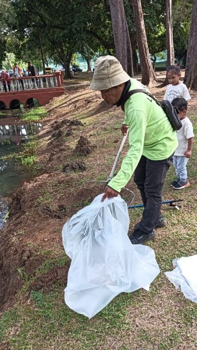 东：已签发：关丹哥罗乐公园惊现大批鱼只集体死亡，晨跑者驻足围观，员工紧急划船打捞。