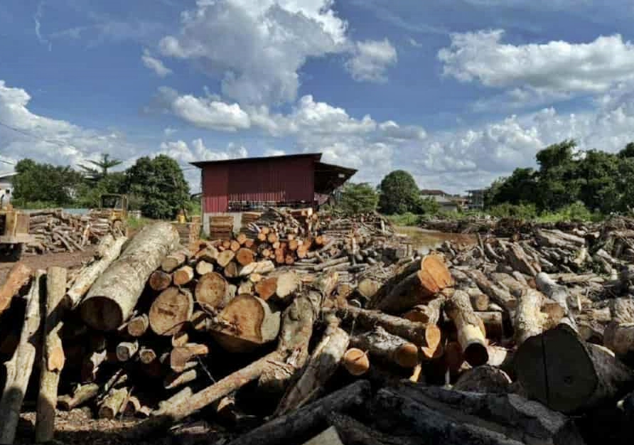 东:普通警察部队日前在阿邦工业区一处锯木厂展开突击行动,查获各种木材,总值达290万令吉!