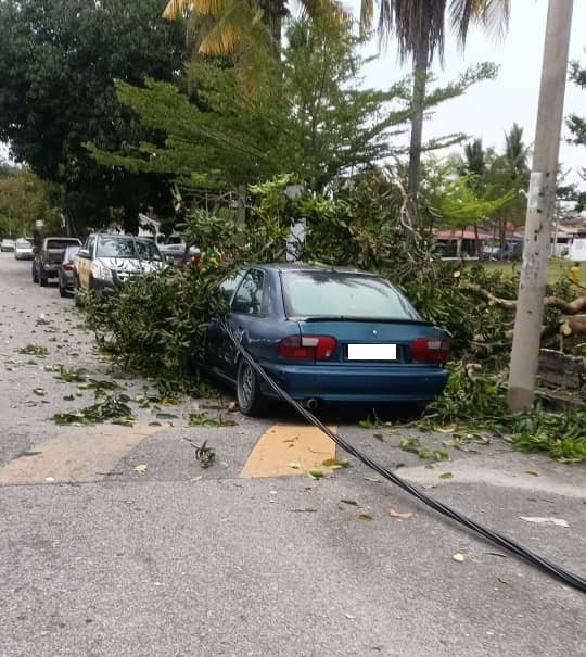 东:淡马鲁突发狂风暴雨,造成大树倒下压中停泊在路旁的轿车,还压扯该路段的国能电线至路面。