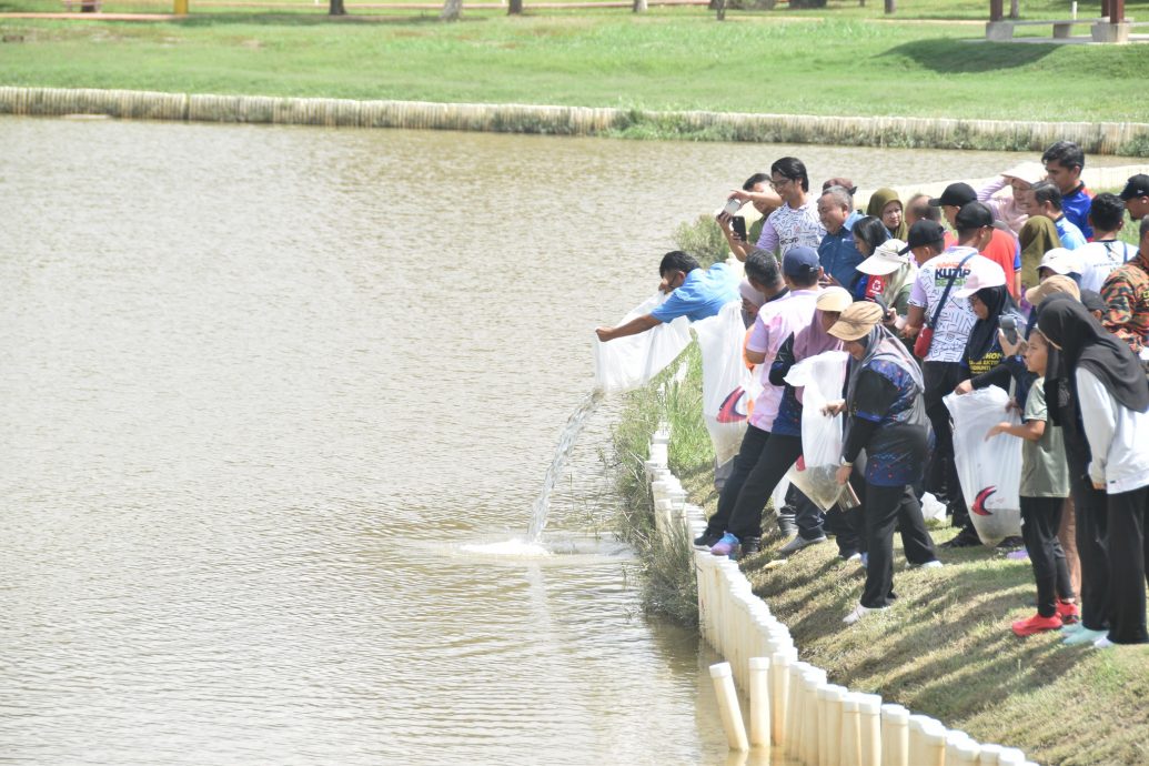 东:百乐公园新添青龙鱼塑像 于绿色计划活动开幕