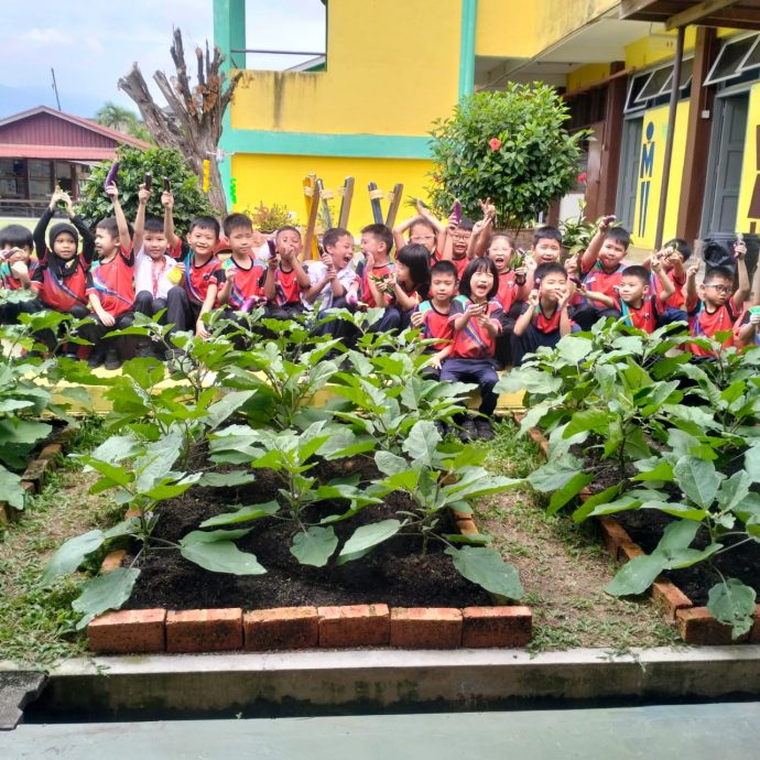 东:金马扬华小学生种植蔬菜努力耕耘终收成