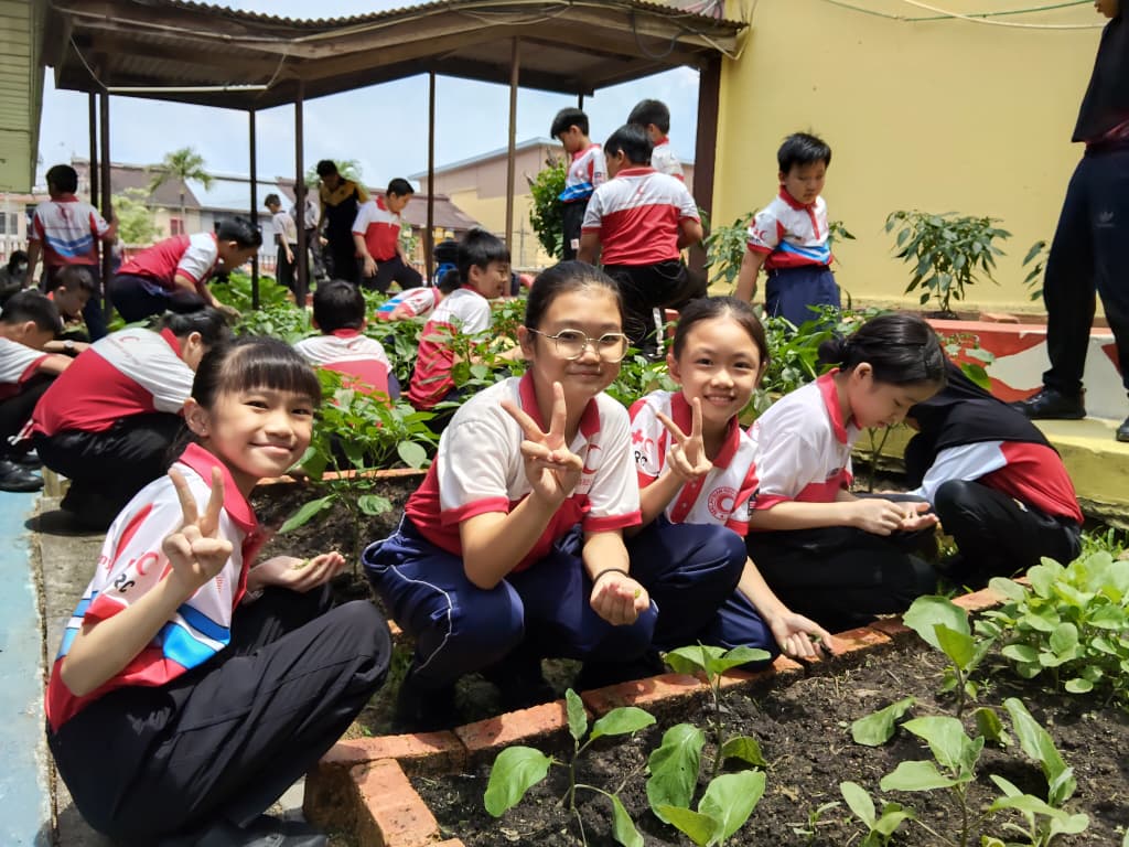 东:金马扬华小学生种植蔬菜努力耕耘终收成
