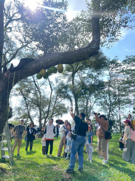 东:(已签发)9月学校假期逢榴梿小季节,劳勿度假村客房预订近爆满