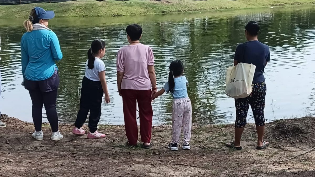 东：（已签发）关丹哥罗乐公园湖泊死鱼涌现 市政厅：无法预料的自然现象