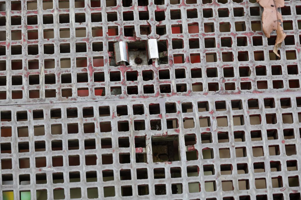 东:(已签发)彭亨州积极拓展旅游市场 基设破损引民关注