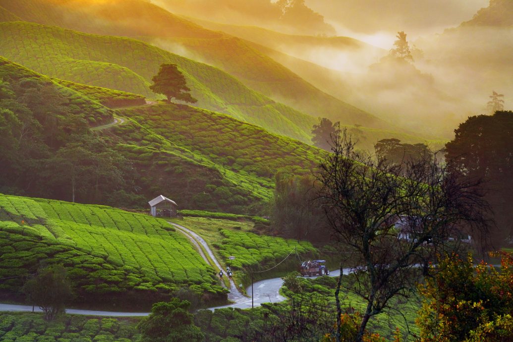 东:(已签发)彭旅游局“MOH KE PAHANG”摄影比赛 分享旅游美照赢度假配套