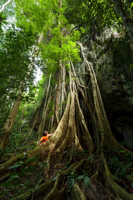 东:(已签发)彭旅游局“MOH KE PAHANG”摄影比赛 分享旅游美照赢度假配套