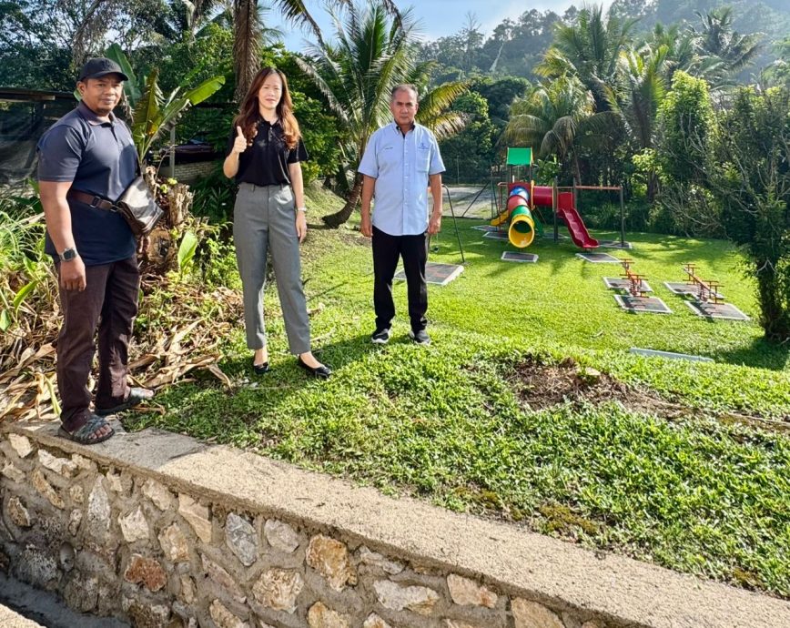 东：（已签发）文冬丽雅花园与富裕花园的树木获修剪