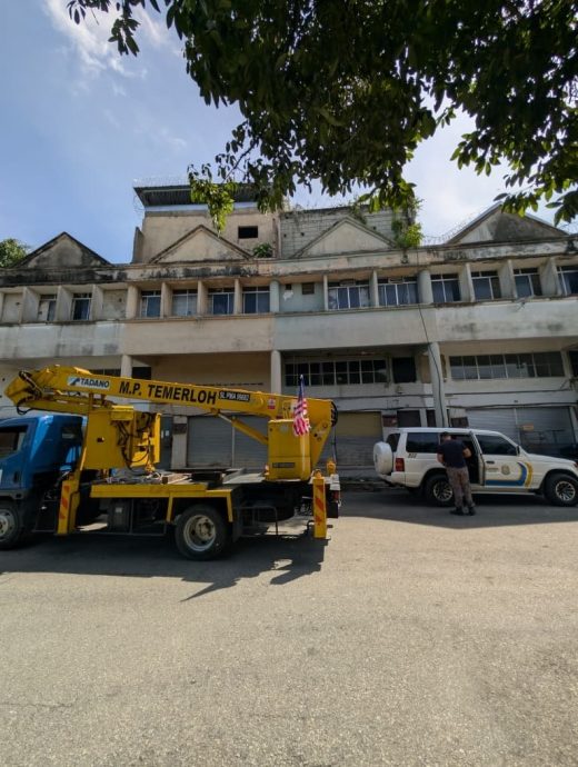 东:(已签发)燕屋引燕声扰民 遭市议会取缔