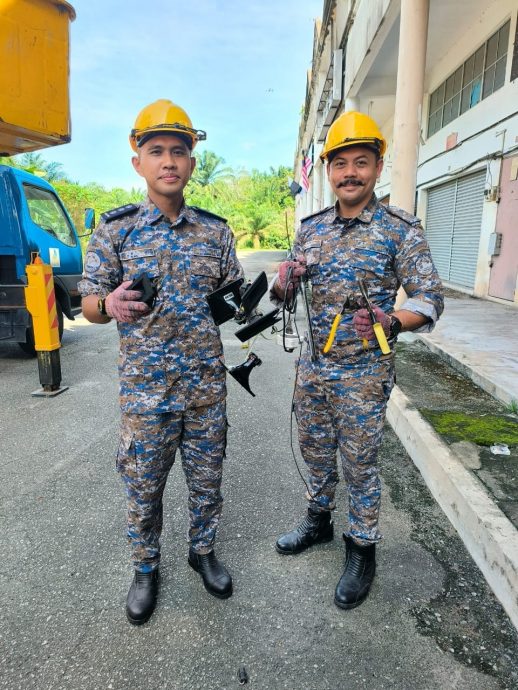 东:(已签发)燕屋引燕声扰民 遭市议会取缔