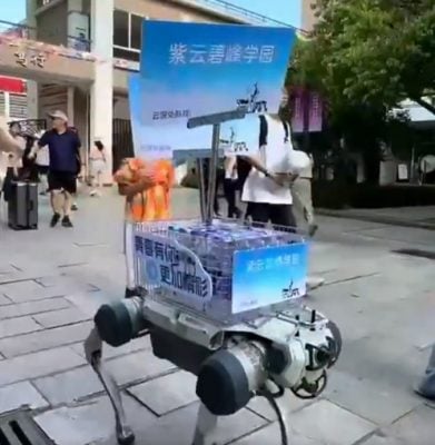 中国开学奇景!机械狗现身校园 帮学生搬运重物“轻松爬楼梯”