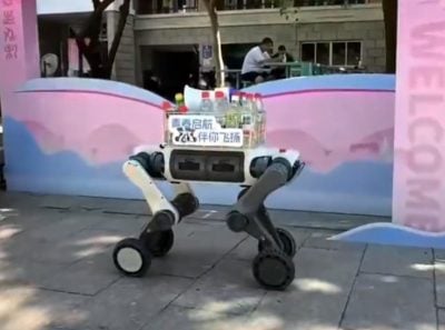 中国开学奇景!机械狗现身校园 帮学生搬运重物“轻松爬楼梯”