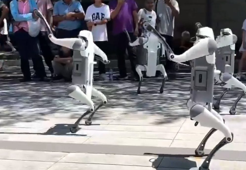 中国开学奇景!机械狗现身校园 帮学生搬运重物“轻松爬楼梯”