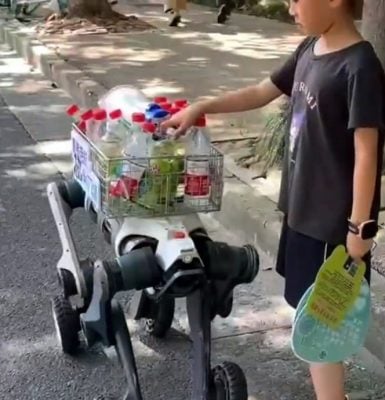 中国开学奇景!机械狗现身校园 帮学生搬运重物“轻松爬楼梯”