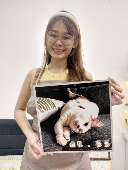 为浪浪而创展览，分享毛孩的艺术细胞