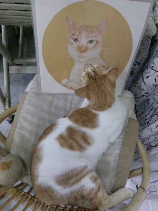 为浪浪而创展览，分享毛孩的艺术细胞