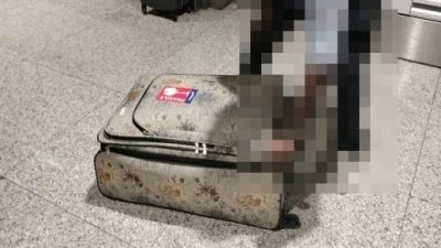 企图走私2稀有保育动物 46岁本地男子KLIA被逮