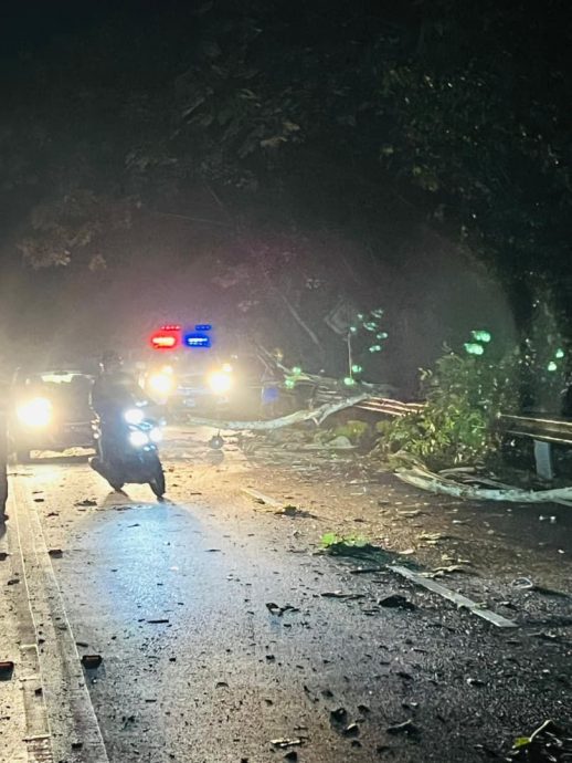 伍长闪拦路树 马路断魂