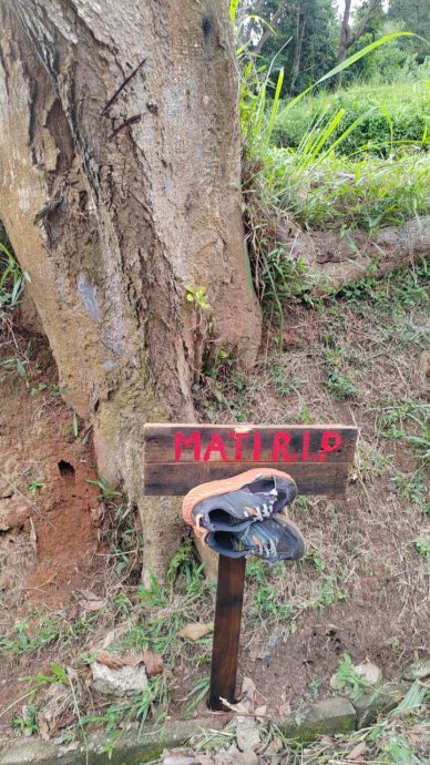 供星洲网：恶作剧者把数双破烂包鞋悬挂在树，大煞风景！