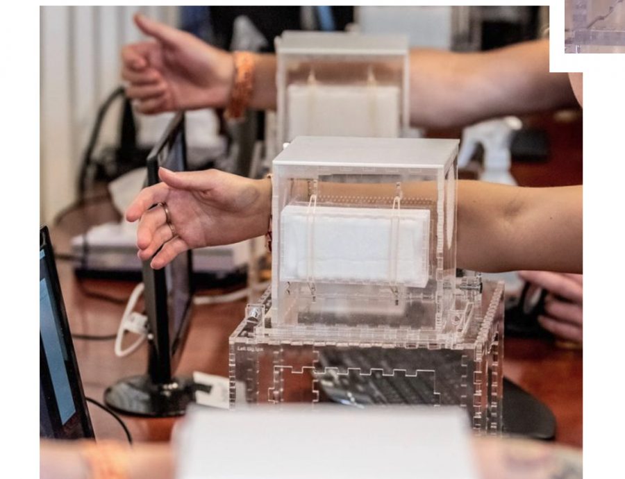 供星洲网：饮酒、性行为特别招蚊？人肉实验揭蚊子吸血偏好