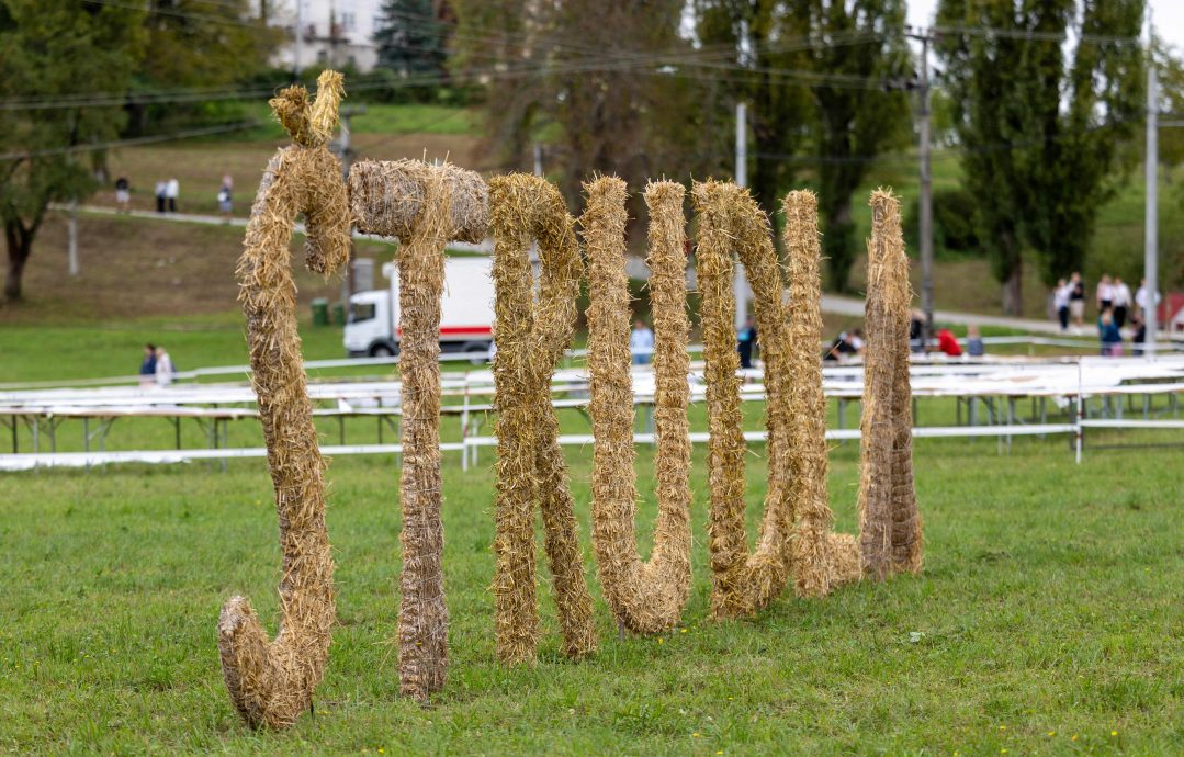 克罗地亚村庄制作逾3公里长苹果批 成功创下世界纪录