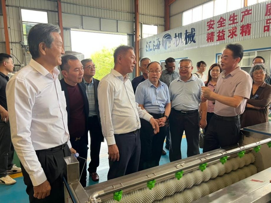 全国/陈治年:鼓励马企对接中国农业科技推动本地化与合作共赢