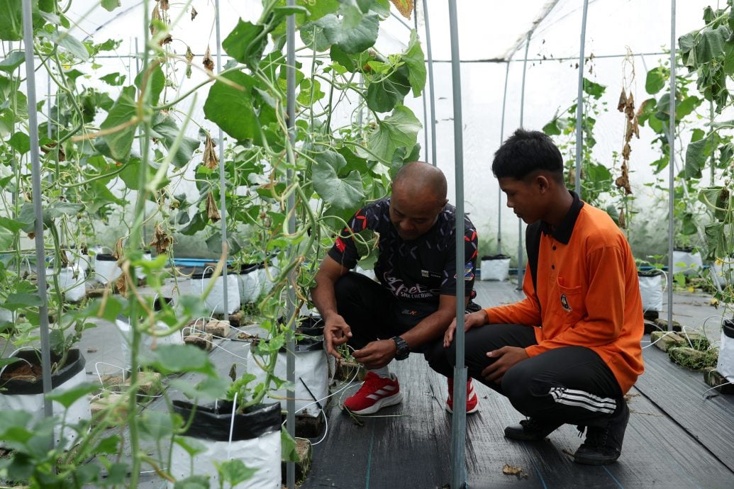 全国/暖势力/:蜜瓜种植计划成为助特殊教育学生转型的媒介。