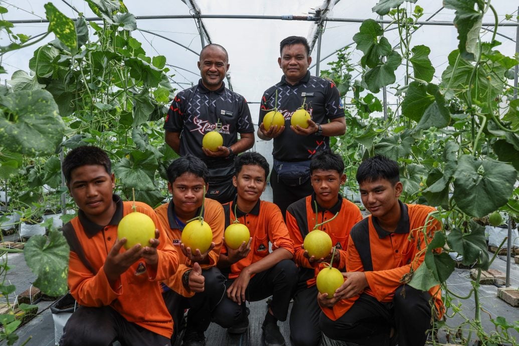 全国/暖势力/:蜜瓜种植计划成为助特殊教育学生转型的媒介。