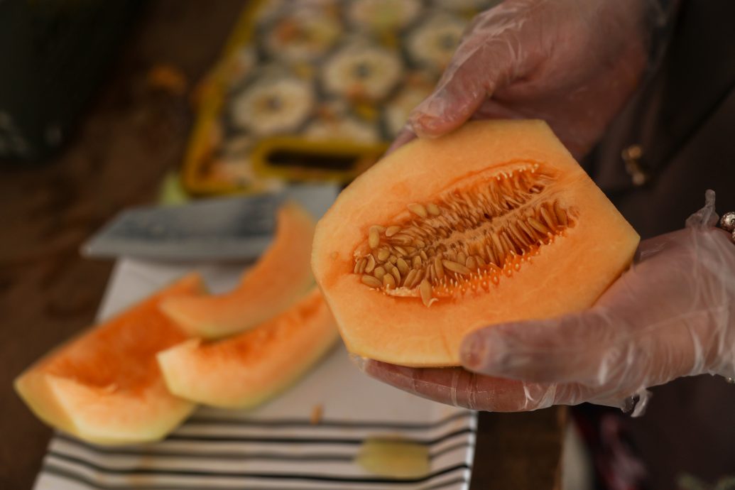 全国/暖势力/:蜜瓜种植计划成为助特殊教育学生转型的媒介。