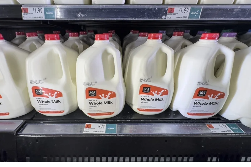 全脂还是低脂牛奶好？哈佛教授给解答“重点是跟谁比”