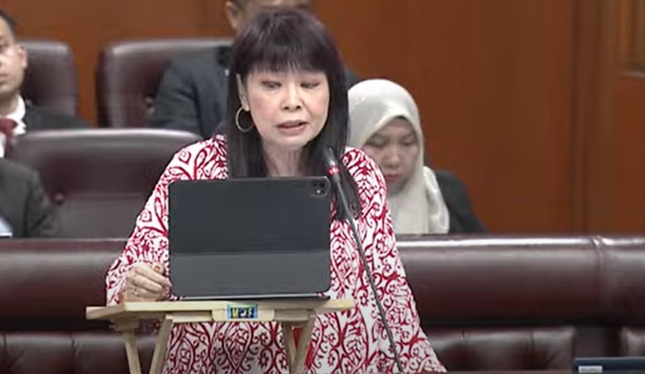 即时国会|家庭债务达1.65兆 占GDP 84.3% 林慧英：仍属可控