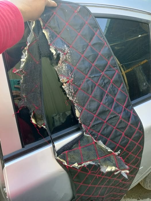 (即时国内)避光垫或致保险索赔被拒　“被视为非法改装”