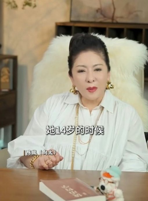 向太忆述拒签14岁刘亦菲 被一身名牌开口1句话劝退